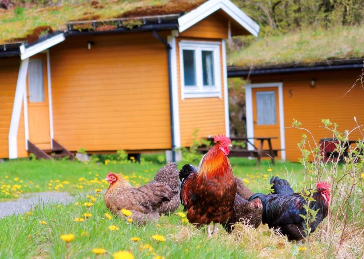 Fosseland Gjestegard Feda Экстерьер фото